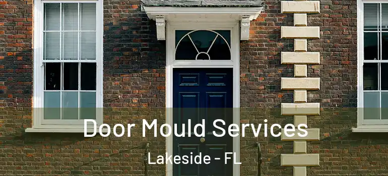 Door Mould Services Lakeside - FL