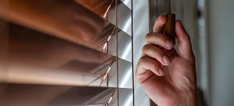 Double Roller Blinds in Lakeside, FL