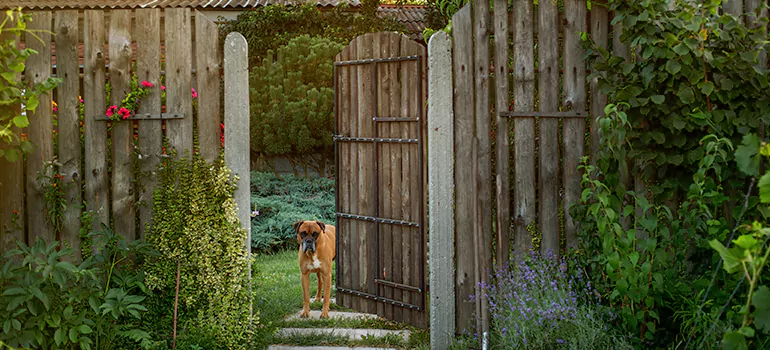 Winter Garden Garage Door Repair in Lakeside,[location field=state]