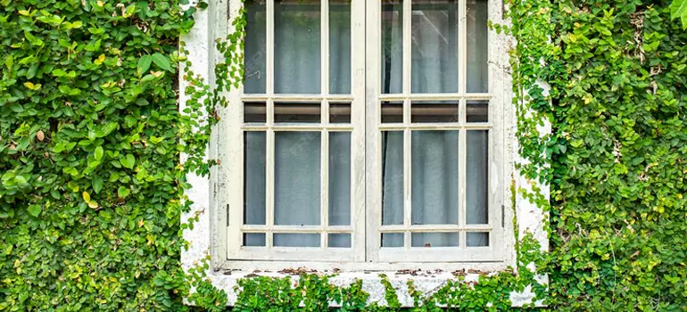 Garden Window Repair Near Me in Lakeside, FL