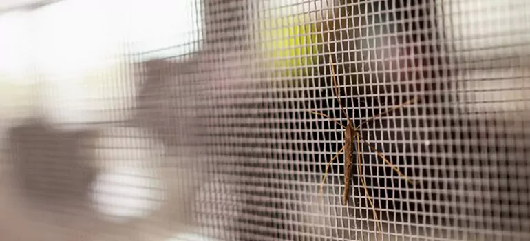 Repair Mosquito Mesh For Windows in Lakeside, FL